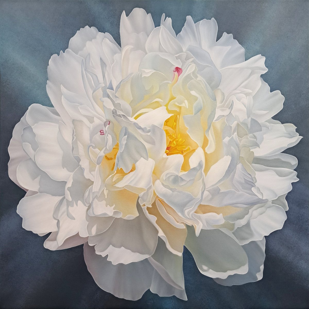 Photorealistic Botanical Oil Painting By Anna Steshenko, 33 X 33, Snow-White Peony, Original Artwork