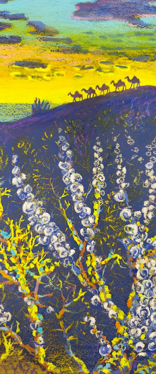 Snail Corals and a Camel Caravan by Anastasiia Aguf