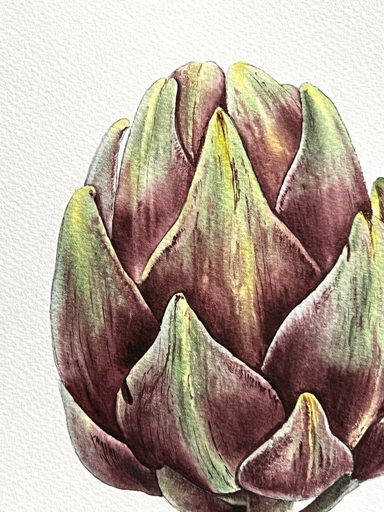 Artichoke. Original watercolor artvork.