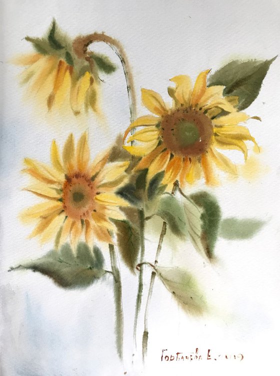 Sunflowers