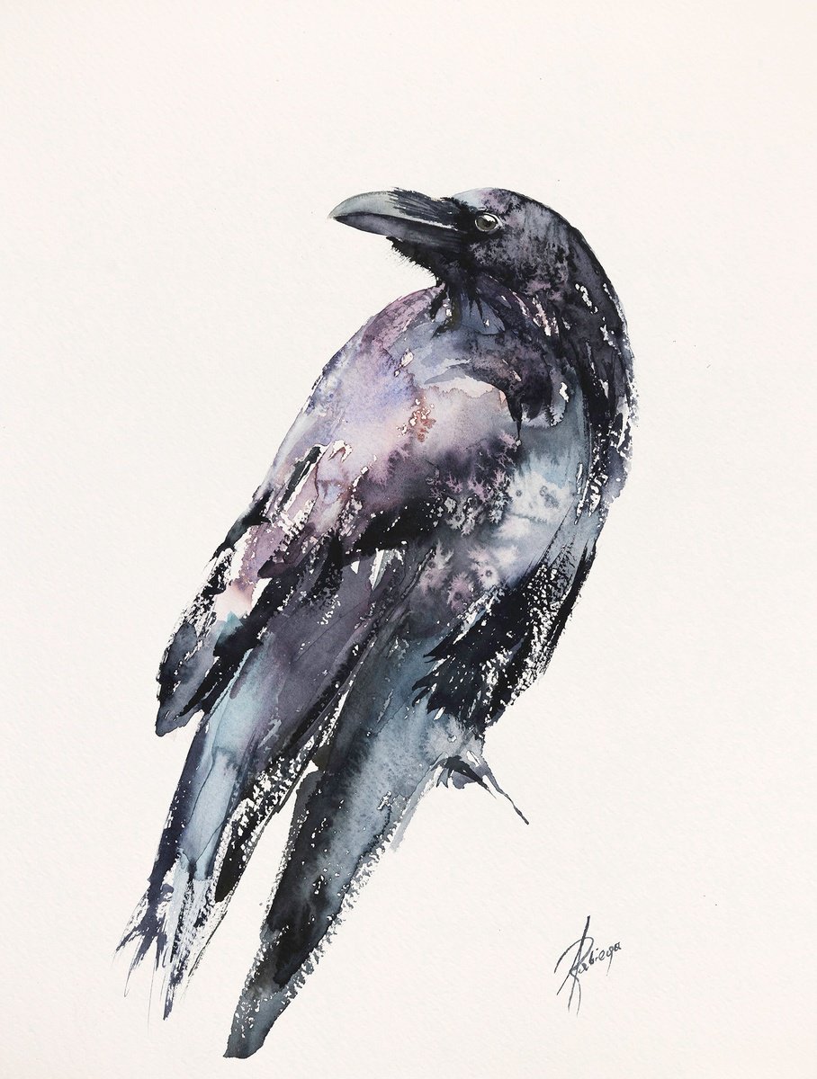 Abstract Watercolour , Raven 1 By Andrzej Rabiega, 12 X 16, Artwork For Sale On Artfinder