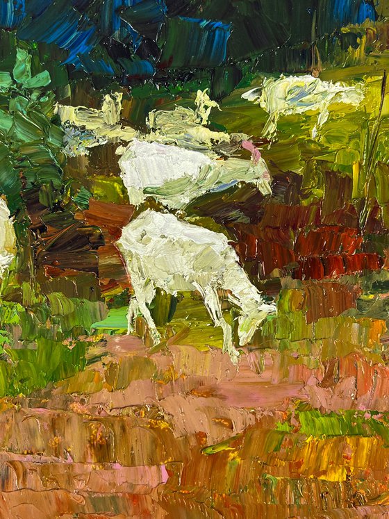 White Goats in the Meadows