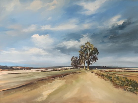 Trees in a Norfolk Landscape