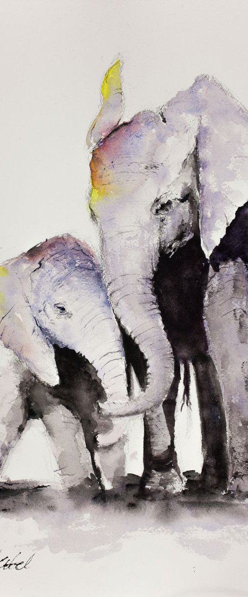 Single Mum Elephant by Tomasz Mikutel