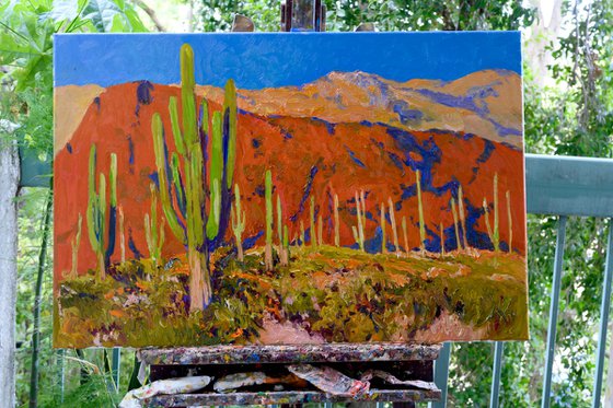 Saguaros and Desert Colors
