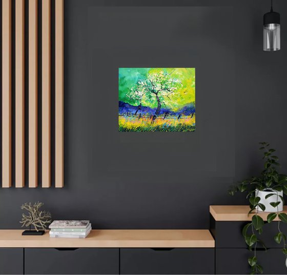 Appletree in blossom