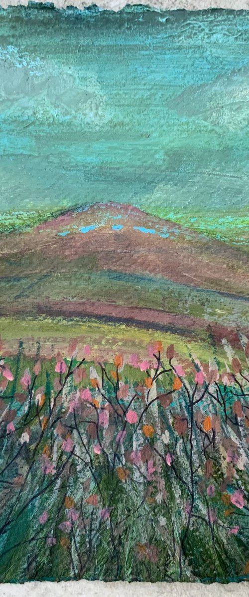 Moorland Views by Janice MacDougall