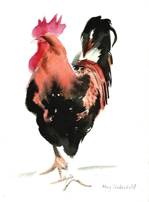 Rooster chicken by Mary Stubberfield