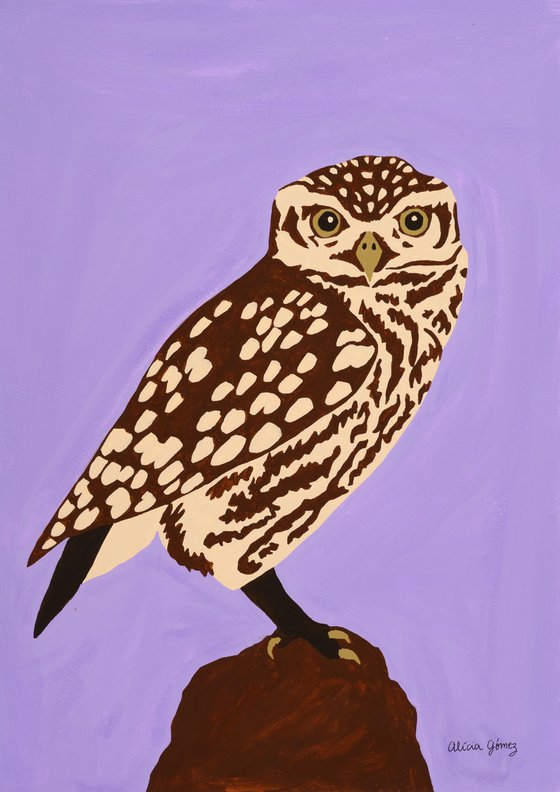 Owl