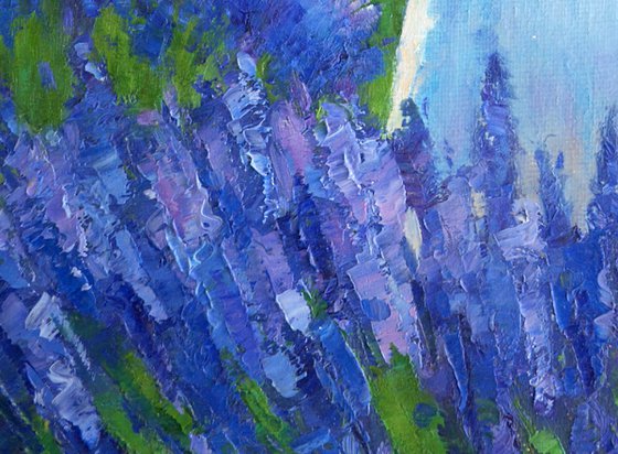 Walking through lavender fields