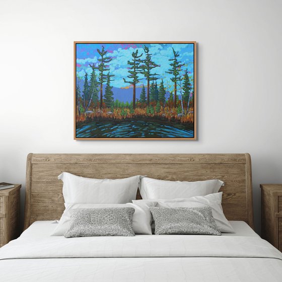 A Day in the Wilderness