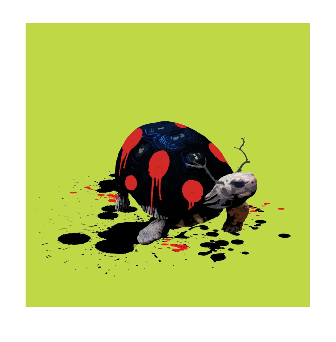 The Tortoise Who Wanted to be a Ladybird by Carl Moore