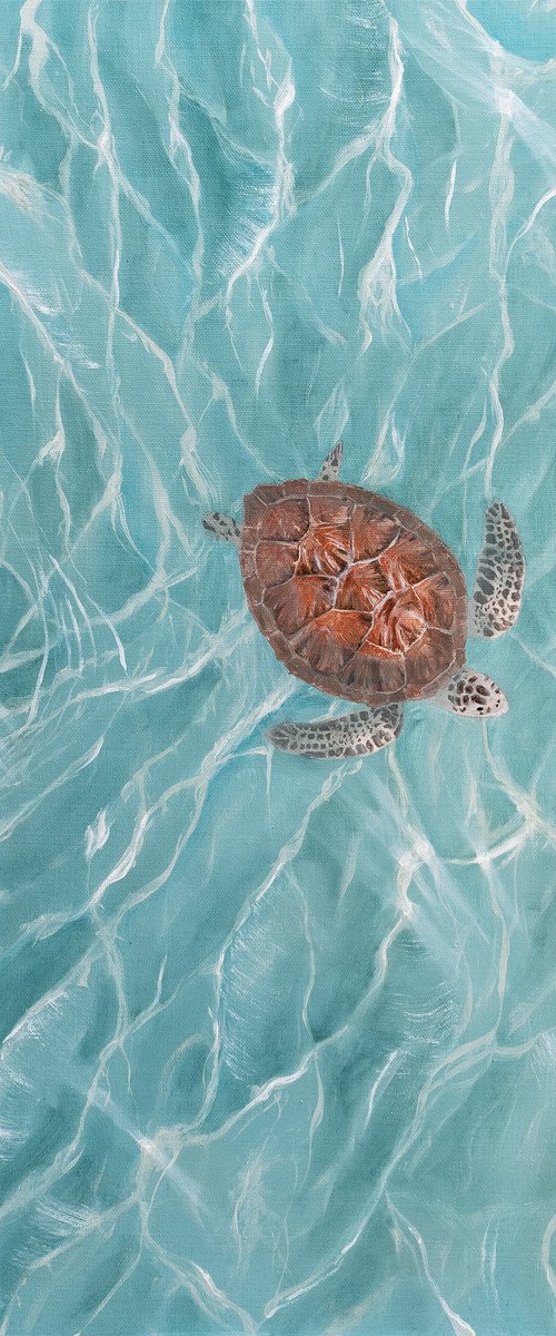 Turtle in the Ocean by Sarah Vms Art