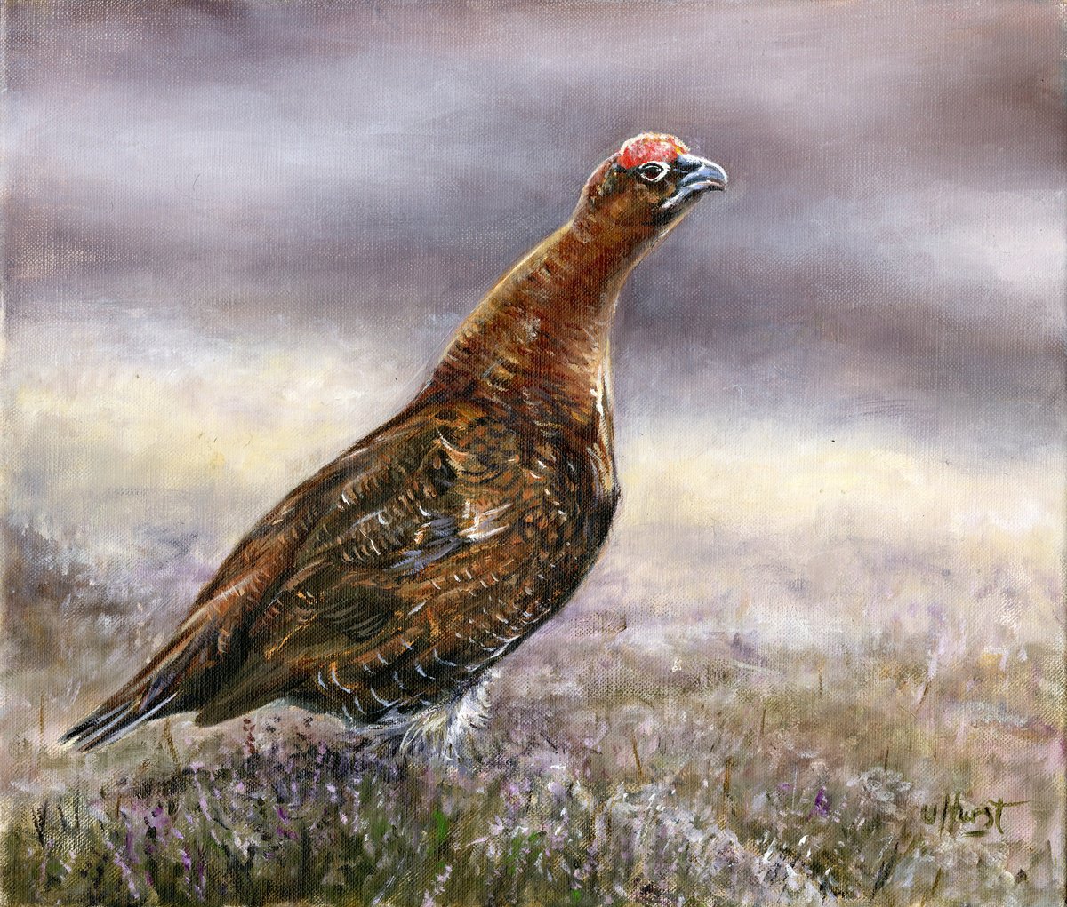 Photorealistic Animal Oil Painting By Una Hurst, 18 X 16", Red Grouse Hunting Shooting, Original Artwork