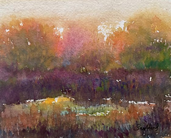 Marshy pool in Autumn