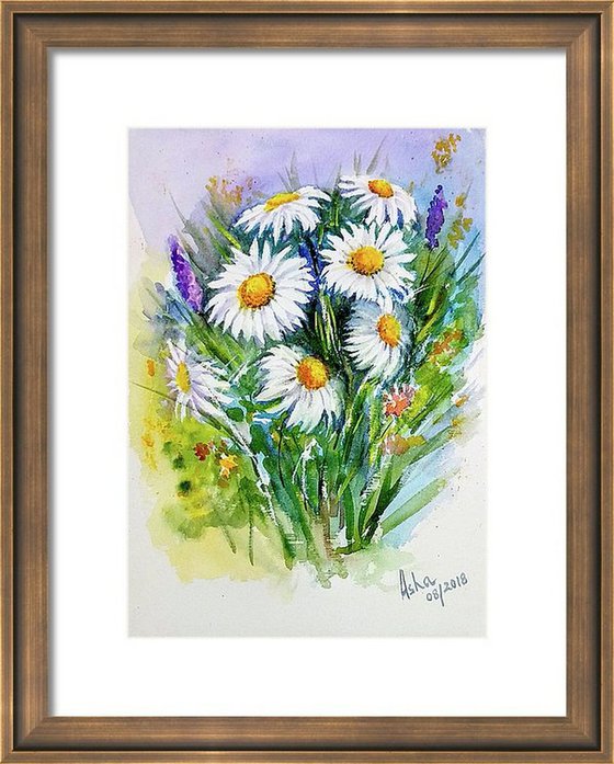 Daisies nodding in the breeze 2