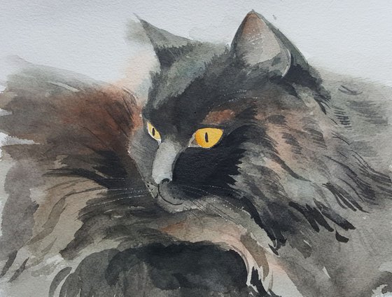 Amber Eyes cat painting