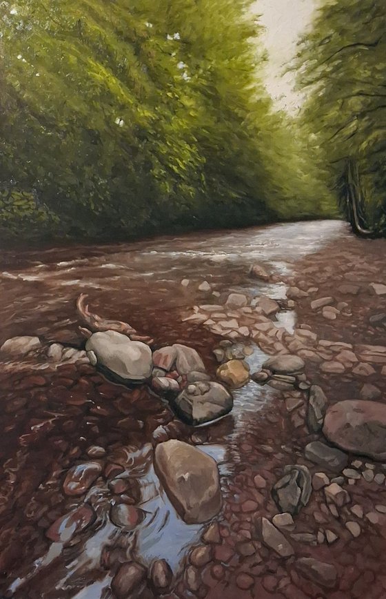 The Riverbank (River Taff)
