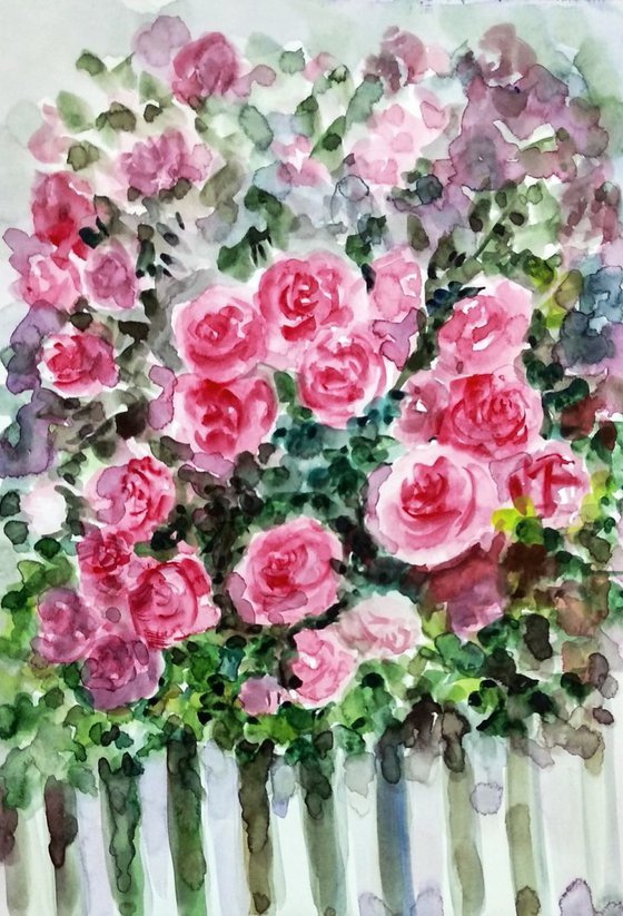 Garden of pink roses