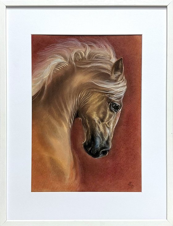 A portrait of a beautiful red horse