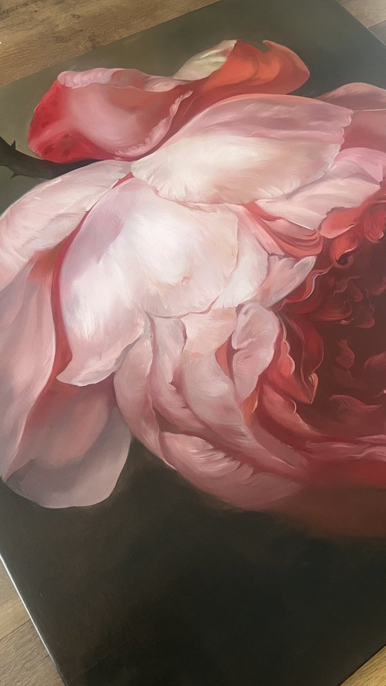 Old Holland flower 12
