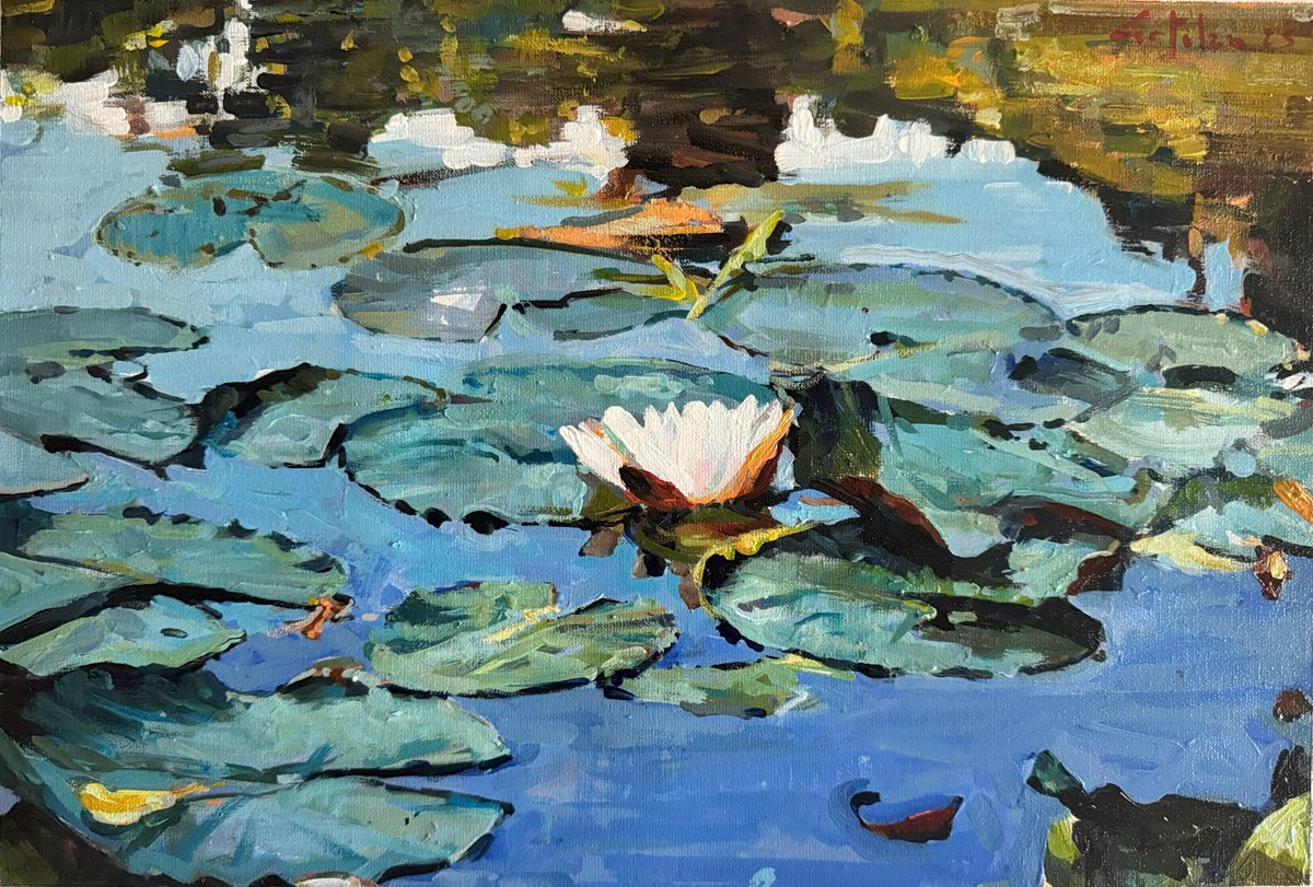 Impressionistic Botanical Oil Painting By Marco Ortolan, 16 X 11", Waterlilies, Original Artwork