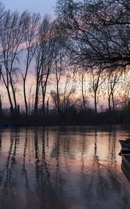 Sunset on the river III by Sonja  Čvorović