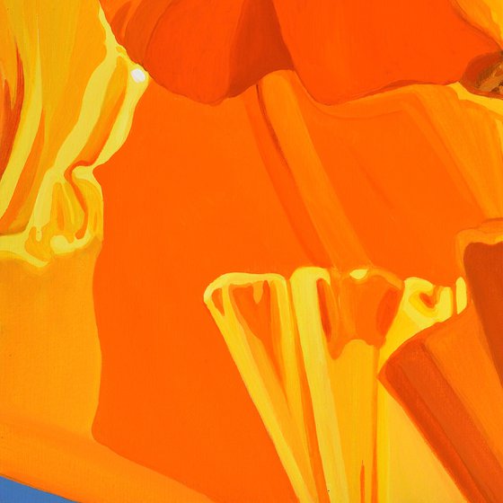 Californian Poppy and Pacific Wind #1