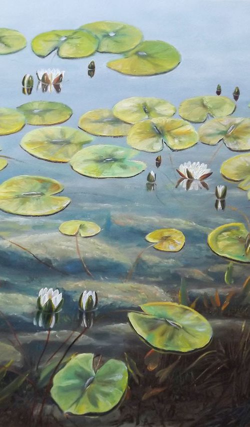 Water Lilies 3 by Oleg Riabchuk