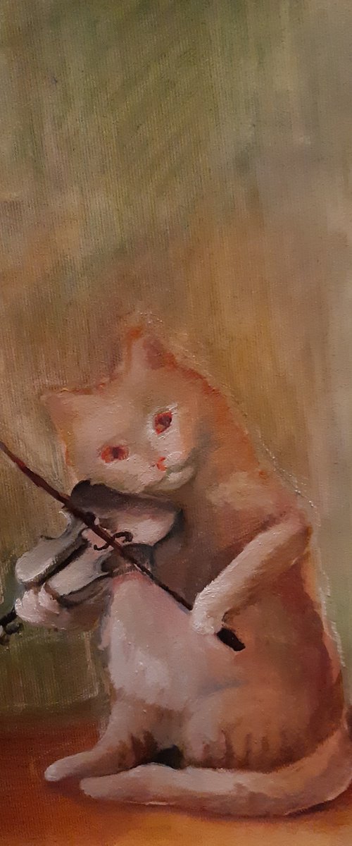 cat music /violin/ by Viktória Déri