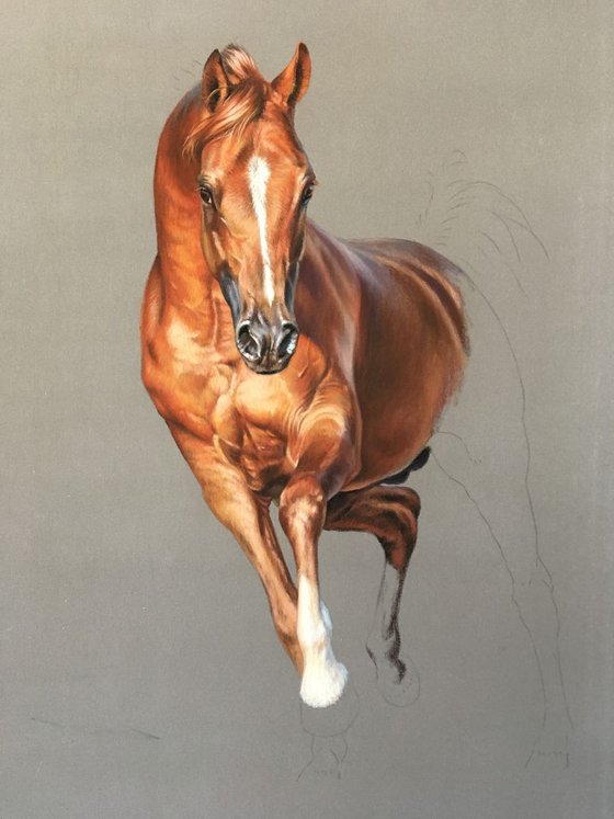 Original painting - Copper arabian horse