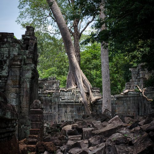 Angkor Series No.3 (Square) - Signed Limited Edition by Serge Horta