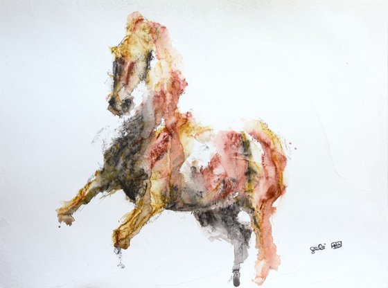 Equine Nude 92t