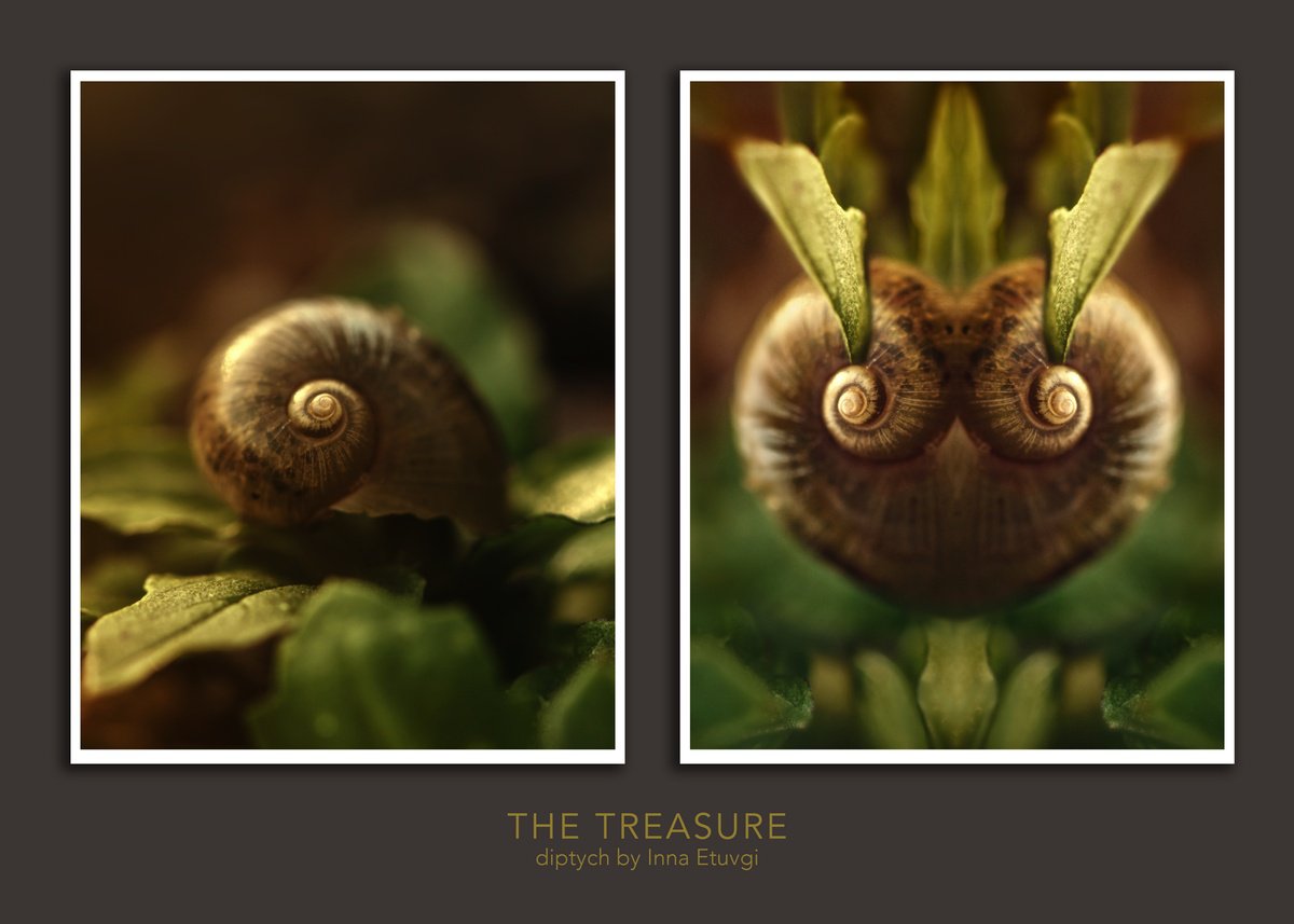 Organic Photograph , The Treasure - Diptych By Inna Etuvgi, 34 X 21, Artwork For Sale On Artfinder