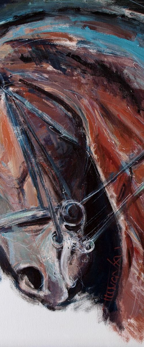 horse head study by Catalin Ilinca