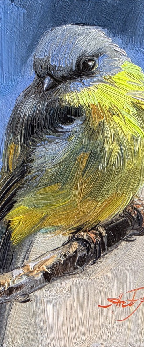 Yellow Robin by Nataly Derevyanko