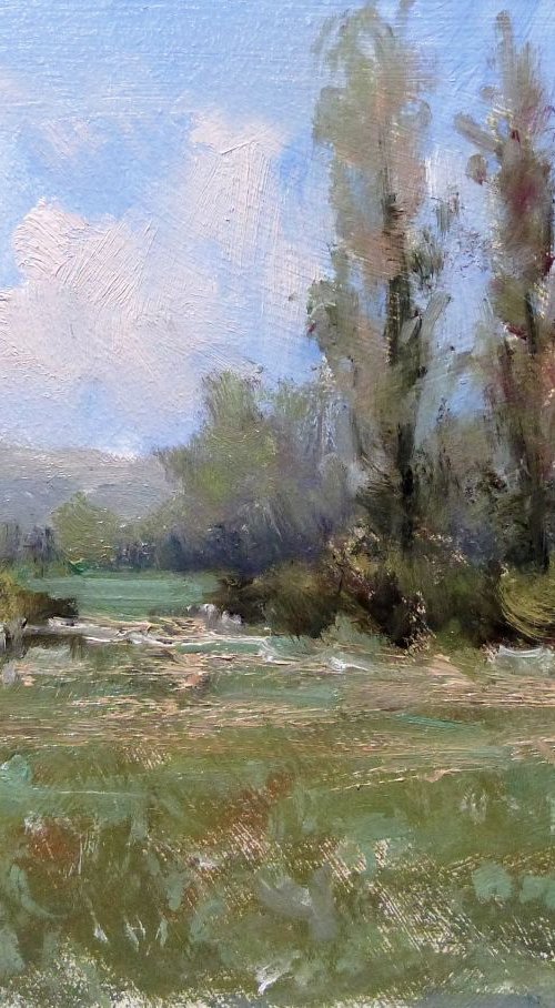 Three Poplars by Pascal Giroud