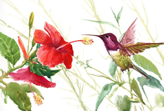 Hummingbird and Hibiscus