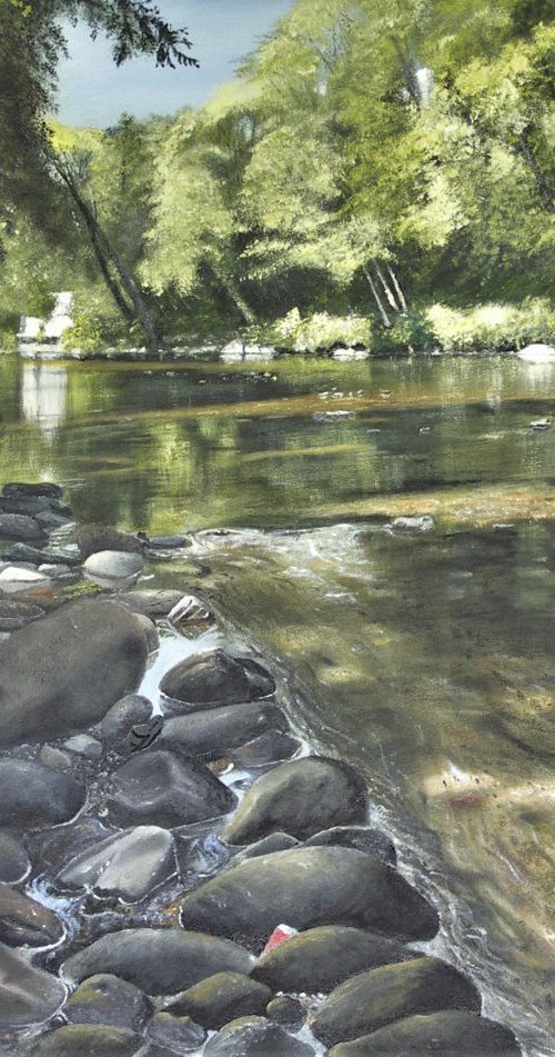 river Dart looking upstream by John Barrett