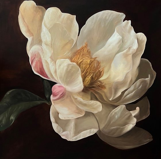 Old Holland flower 5