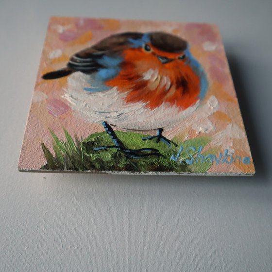 Robin Oil Painting on Canvas