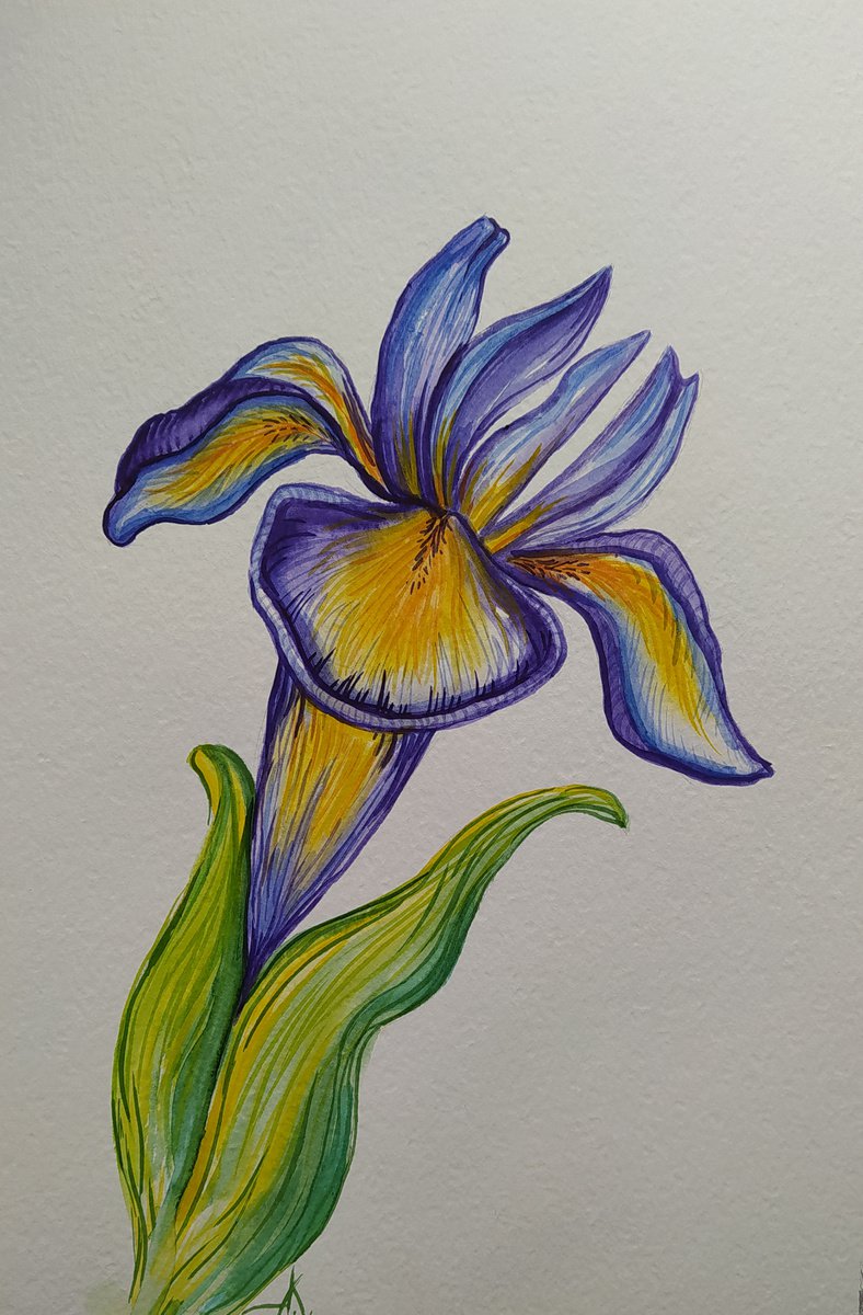 Summer colors - watercolor, iris, flowers, flower, graphics, violet flowers, watercolor fl... by Anastasia Kozorez