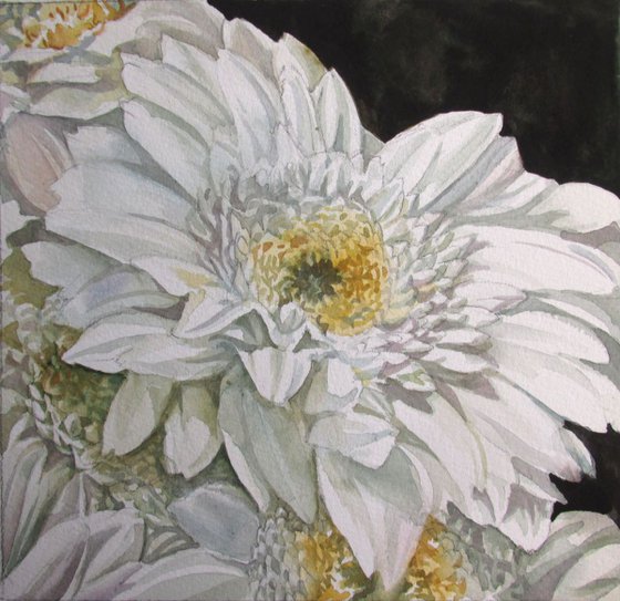 a painting a day # 55 "beauty in white"
