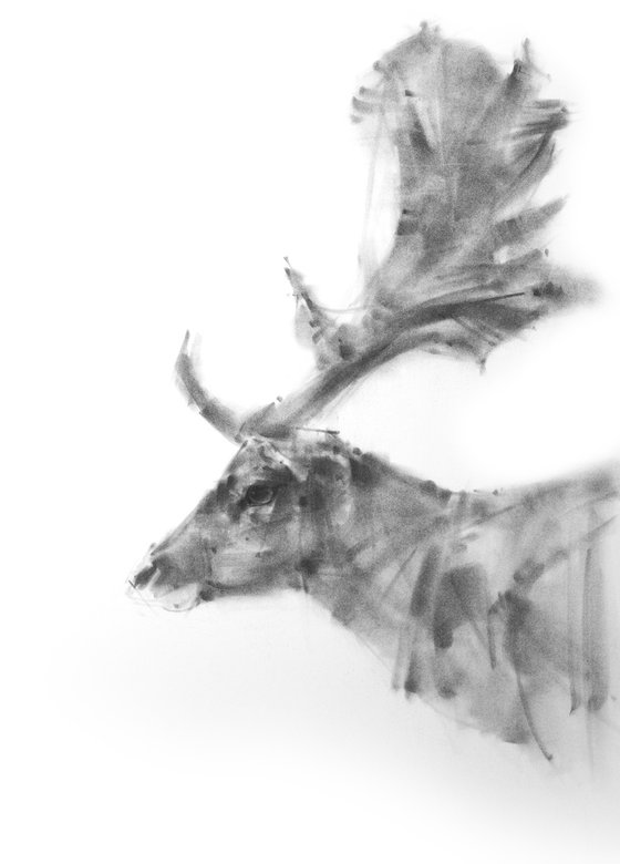 stag I