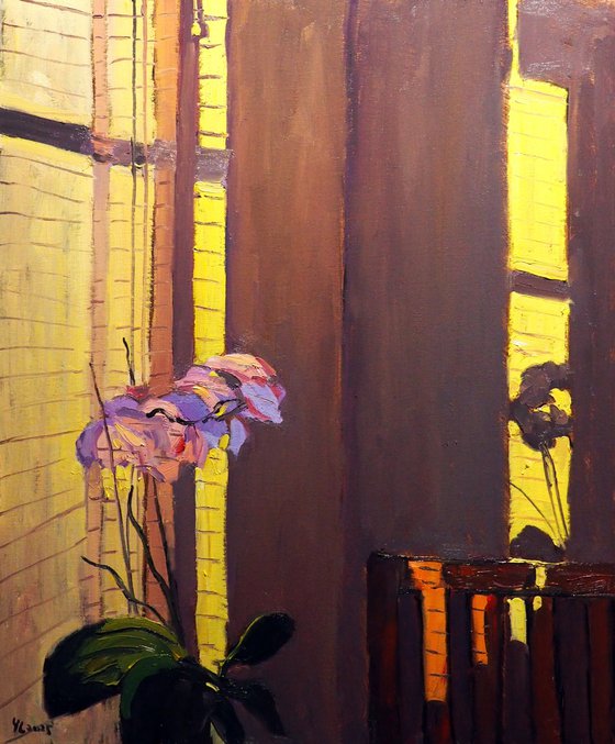 Flowers with morning light