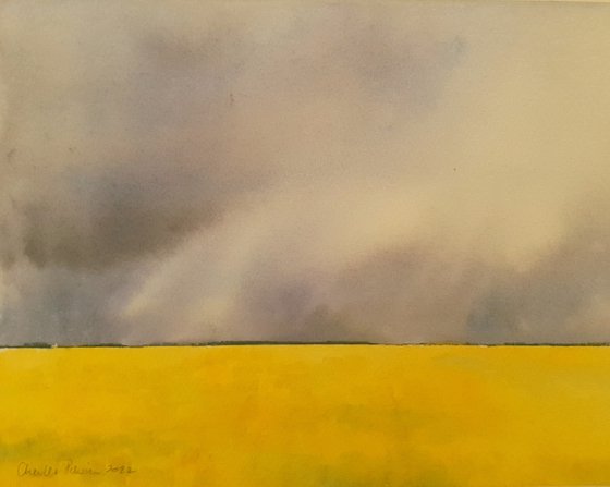 Fields of Gold