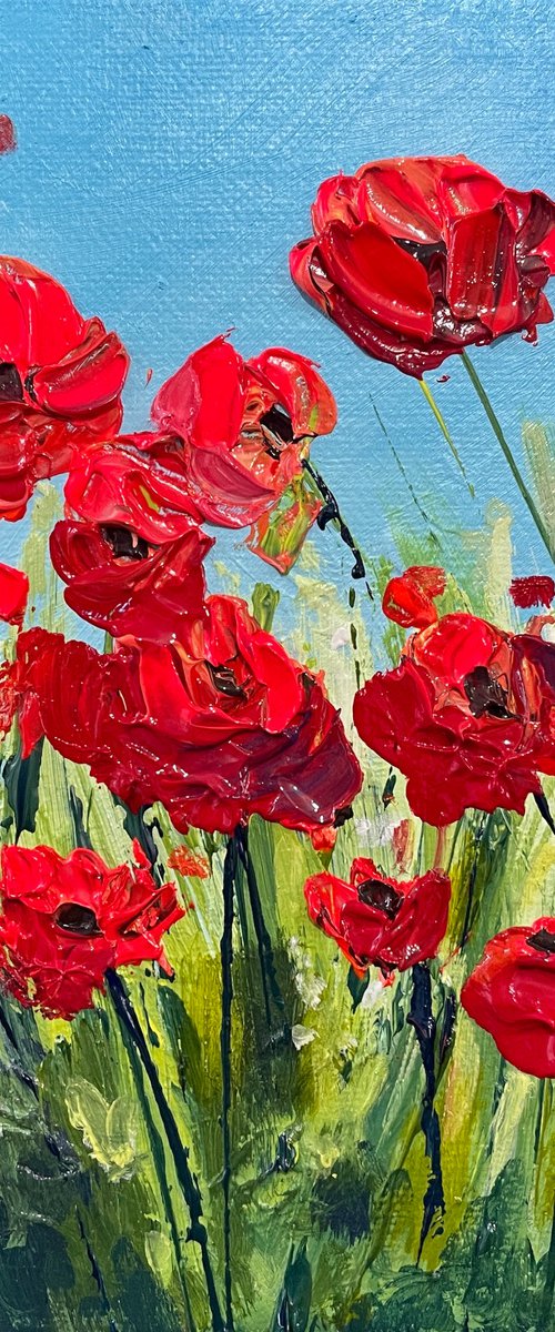 Poppy power! by Emma Sian Pritchard