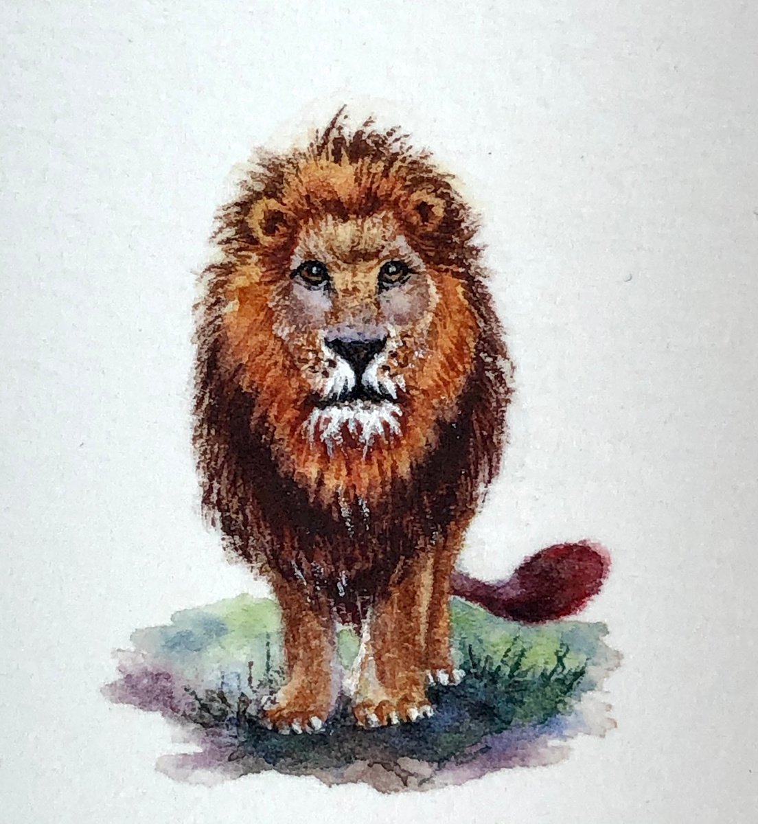 Lion miniature painting by Alina Karpova