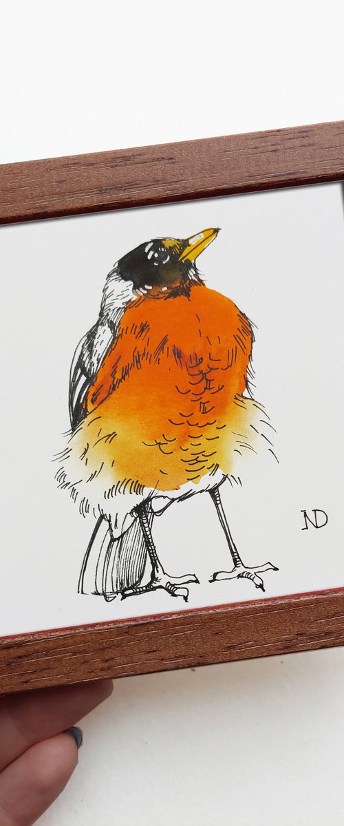 Robin bird by Nataly Derevyanko