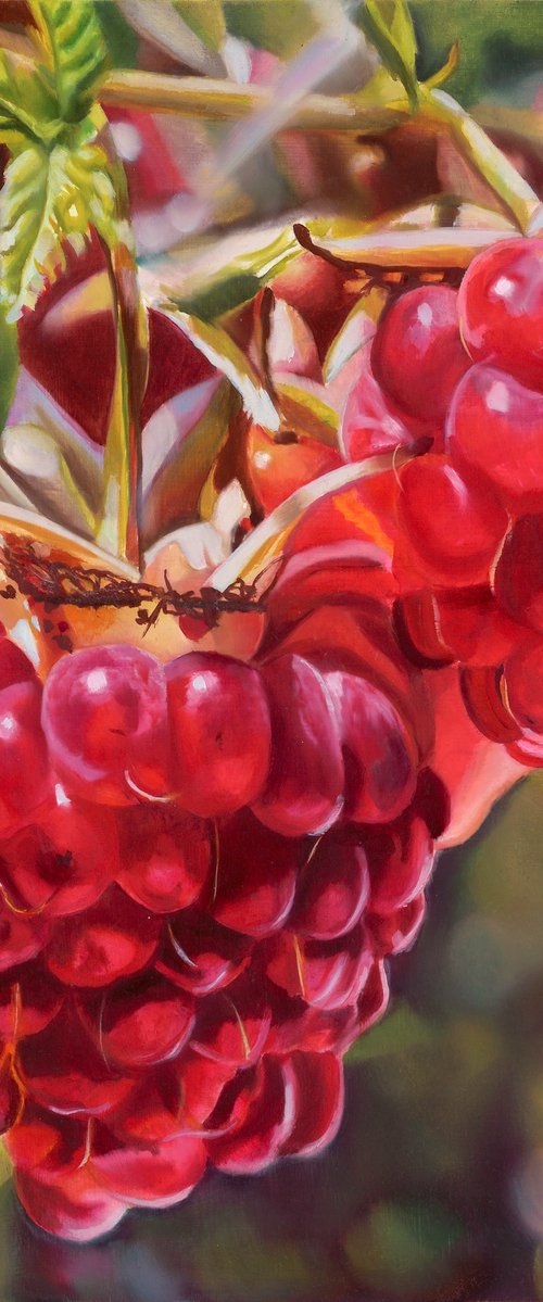Sweet raspberries by Szilvia Németh